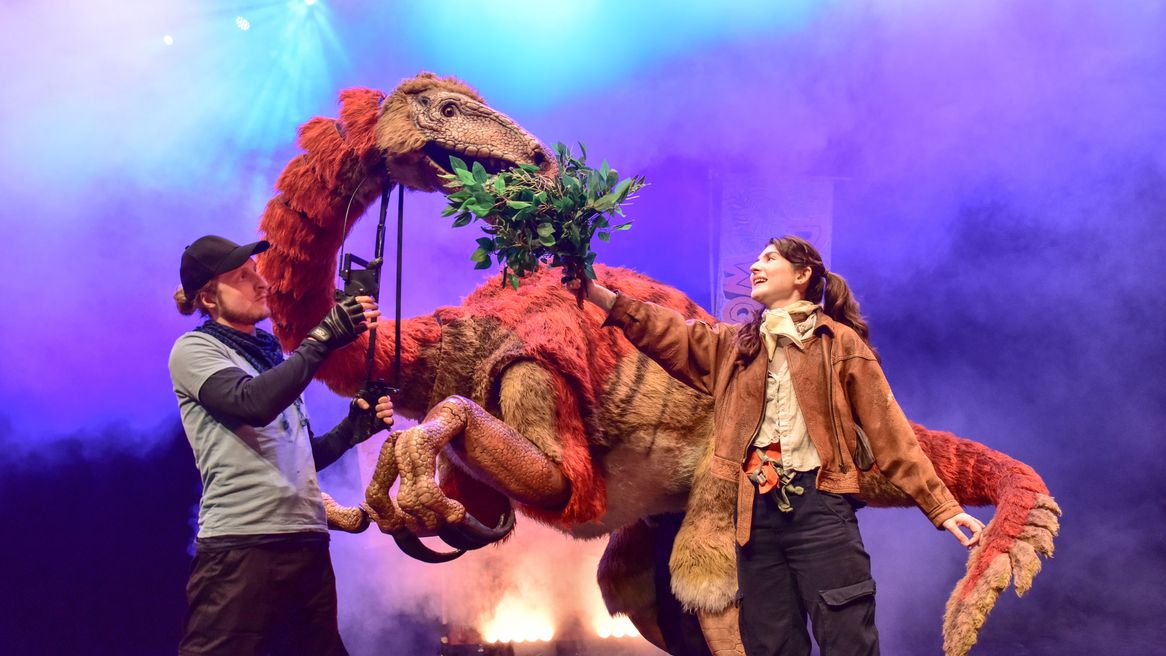 A woman feeds grass to a large feathered dinosaur puppet